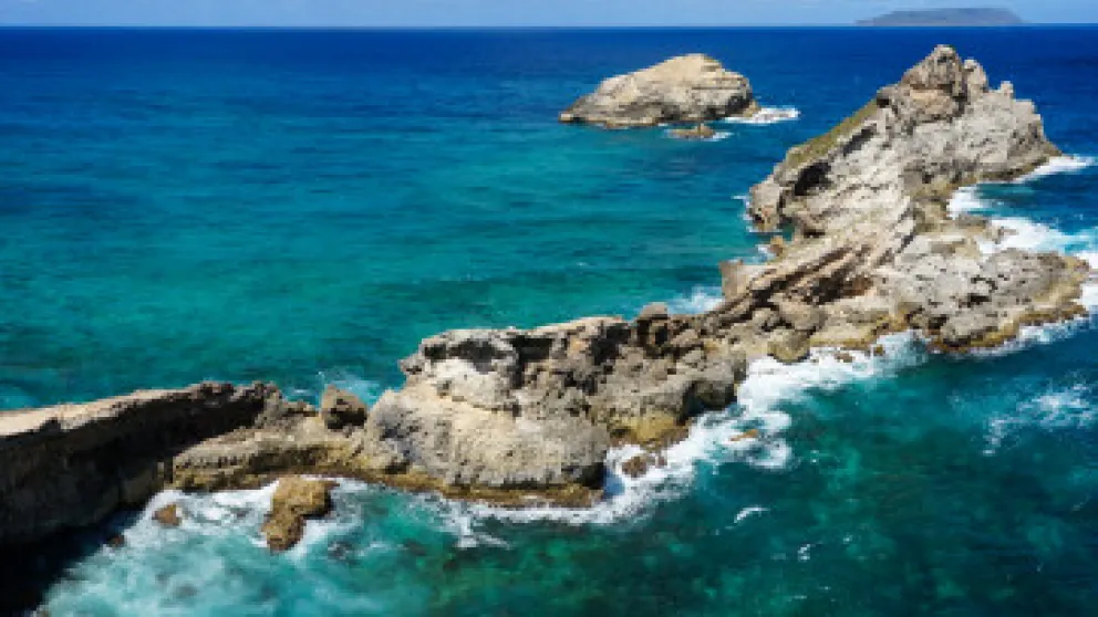 Top 10 spots de plongée en Guadeloupe