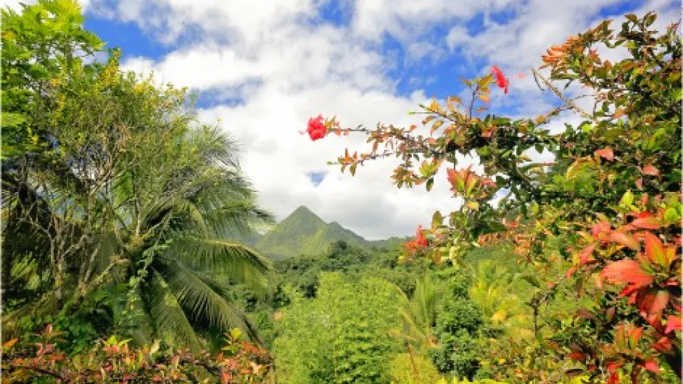 Bébé en Martinique : guide pour voyager en famille