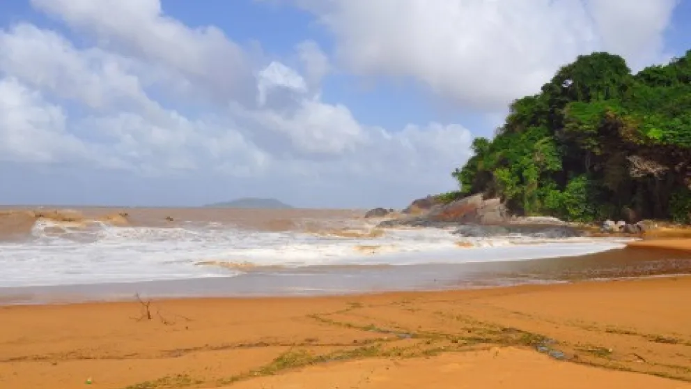 Les plus belles plages de Guyane : où se baigner et se balader