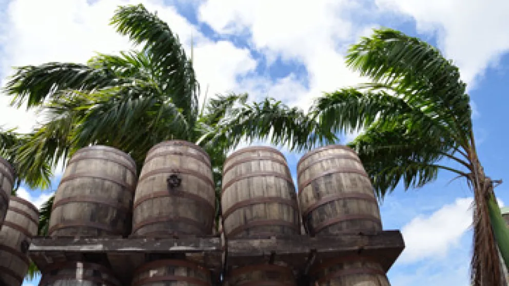 Quels sont les meilleurs rhums de Guadeloupe et où les acheter ?
