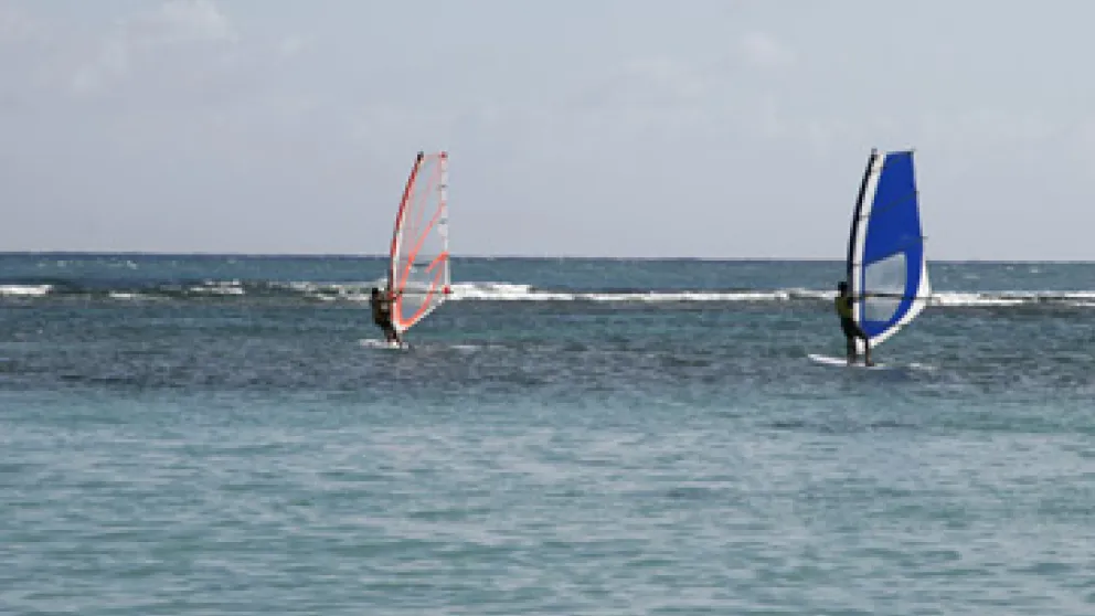 Quels sont les meilleurs spots de windsurf en Guadeloupe ?