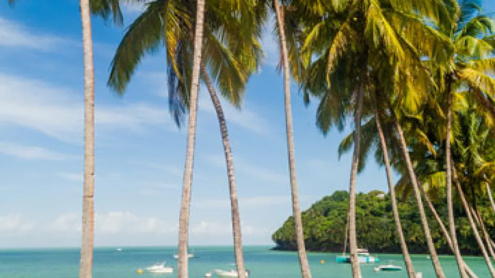 Top sports de baignade en Guyane française