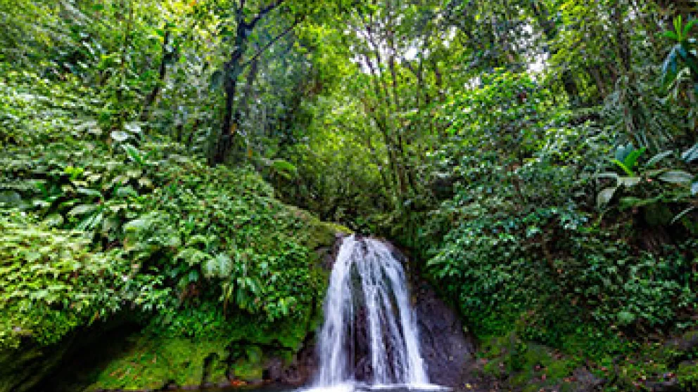 Parc national de la Guadeloupe : la promesse d'un voyage vert avec Air Caraïbes
