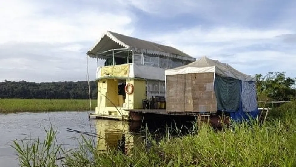 Marais de Kaw : un paradis de biodiversité à portée d'aile