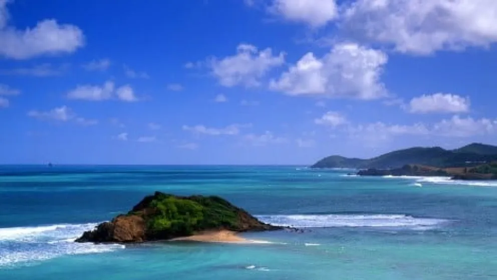 La presqu'île de la Caravelle en Martinique : joyau sauvage entre falaises, mangrove et plages