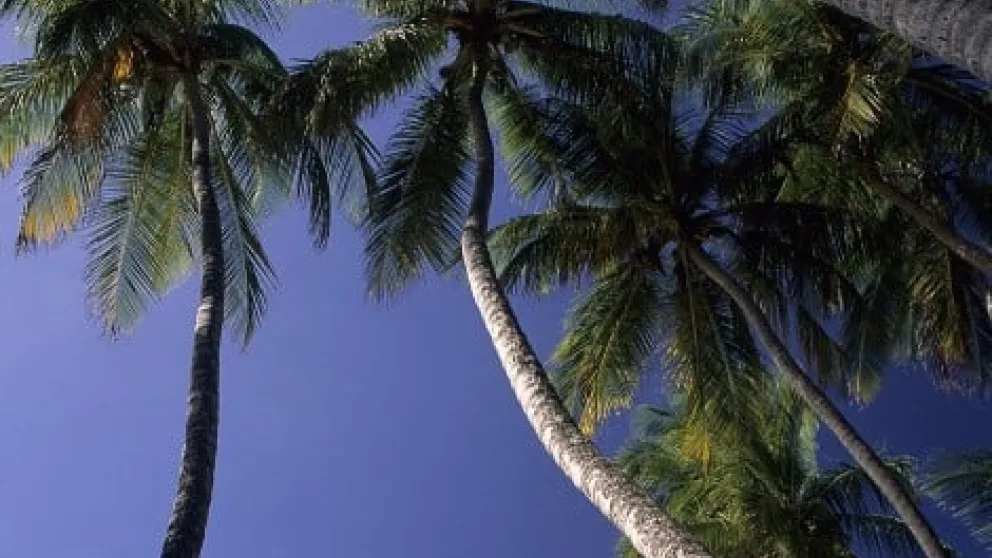 Sainte-Marie, escale en terre créole