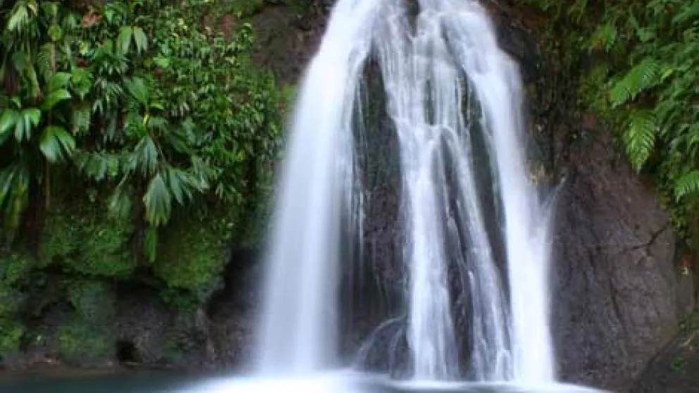 Route de la Traversée : plongez au cœur vert de la Guadeloupe