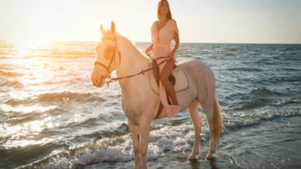 Faire du cheval en Martinique