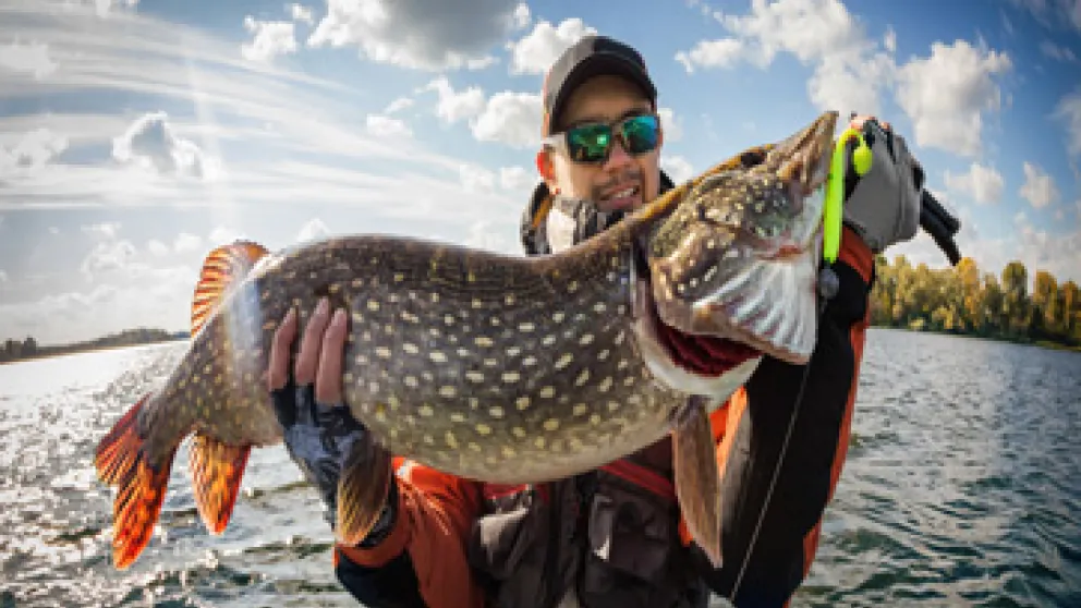 Pêche en mer en Guadeloupe : tarifs, spots et vols Air Caraïbes
