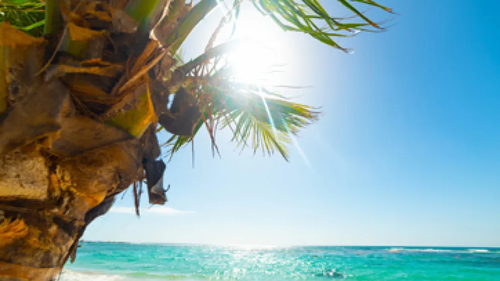 Top 5 des plus belles plages de Martinique