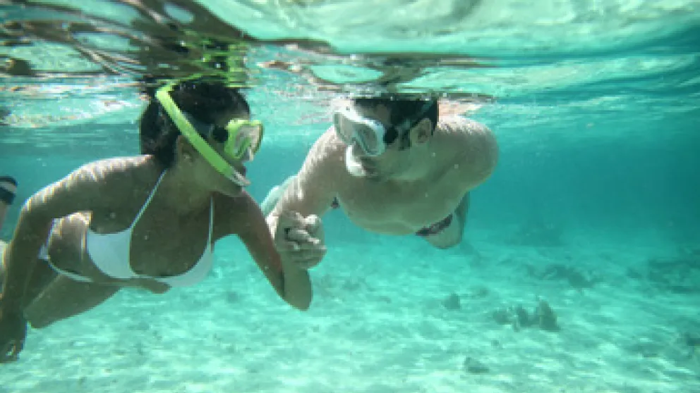 Poissons et plongée en Guadeloupe : vivez l'expérience grâce à Air Caraïbes
