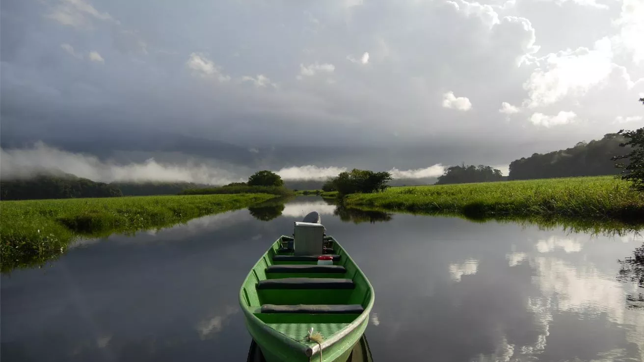 The Kaw marsh in French Guiana