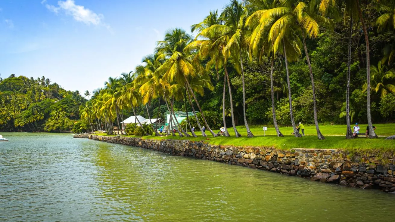 Îles du Salut in French Guiana