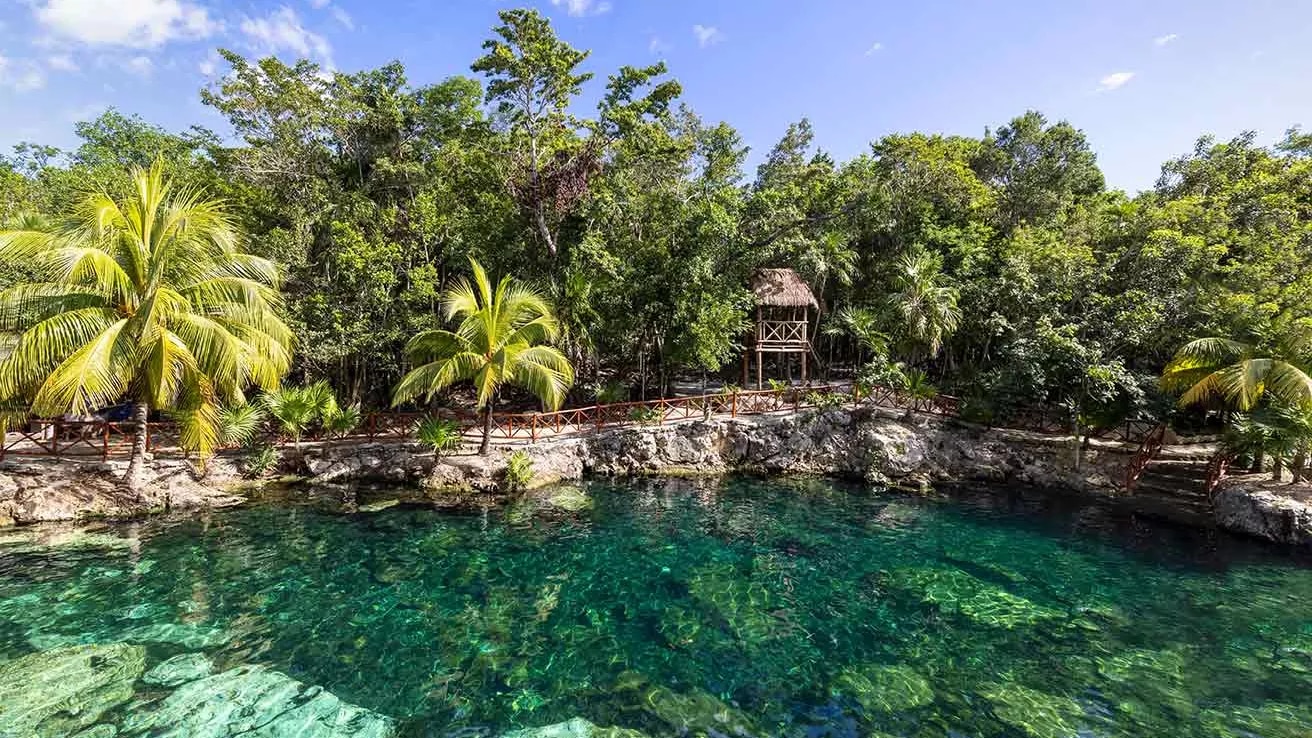  Cenote Casa Tortuga au Mexique