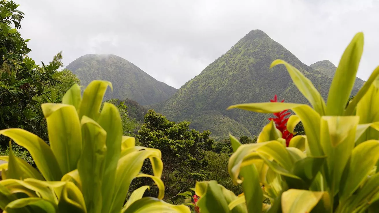 Montagne en Martinique