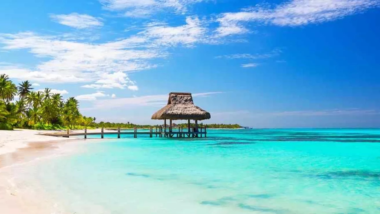 Tropical white sand beach in Punta Cana, Dominican Republic