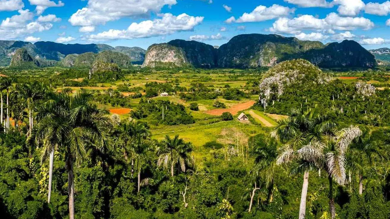 La région verdoyante de Pinar del Rio à Cuba