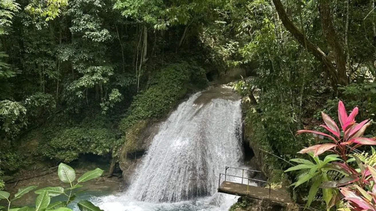 Island Gully Falls, Blue Hole, Jamaique