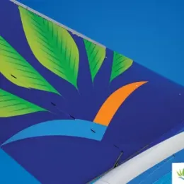 Logo on an aircraft wing