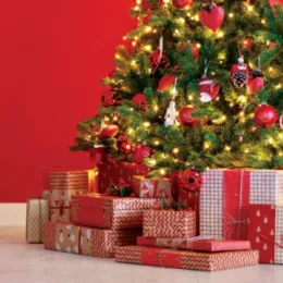 Noël agence Paris 15ème