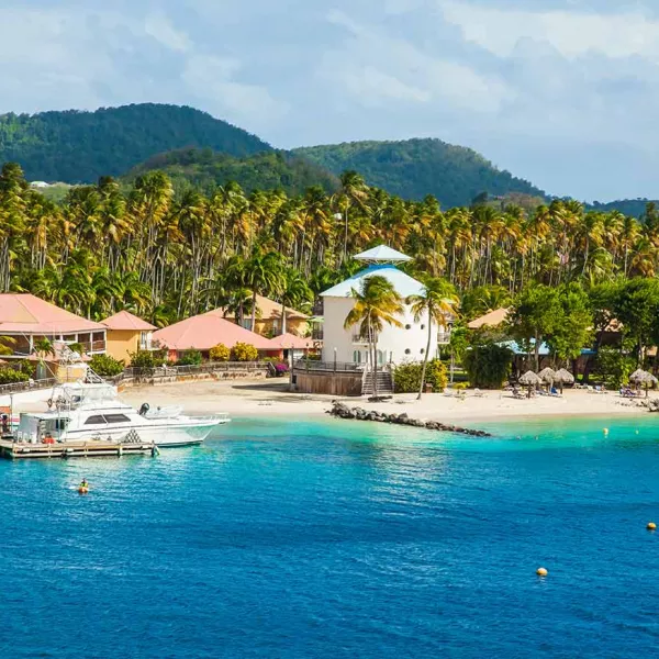 Découvrez la Martinique Découvrez la Martinique