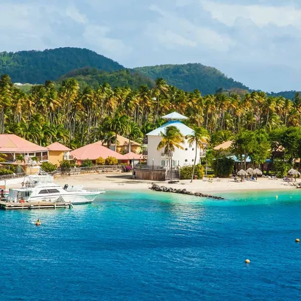 Discover Martinique
