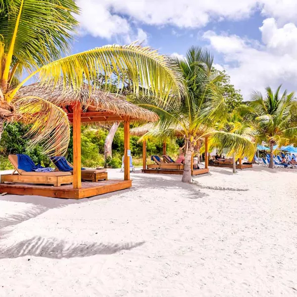 Découvrez Tortola