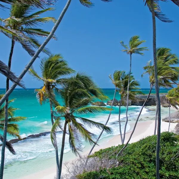 Découvrez la Barbade