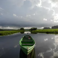  The Kaw marsh in French Guiana