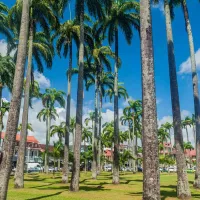 Place des Palmistes, Cayenne, French Guiana