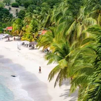 
<span>Haïti</span>

