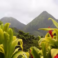 Montagnes tropicales en Martinique