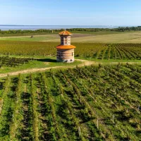 Vue aérienne sur les vignobles verts de Bordeaux Vue aérienne sur les vignobles verts de Bordeaux