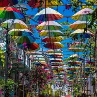 Rue République dominicaine