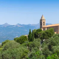 Figari