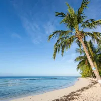 
<span>Trinité-et-Tobago</span>
