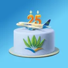 Gâteau 25 ans 