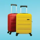 Deux bagages de 23 kg en soute