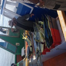 Photo de pêcheurs à la Désirade