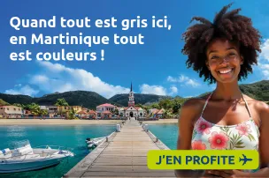 Comité Martiniquais du Tourisme