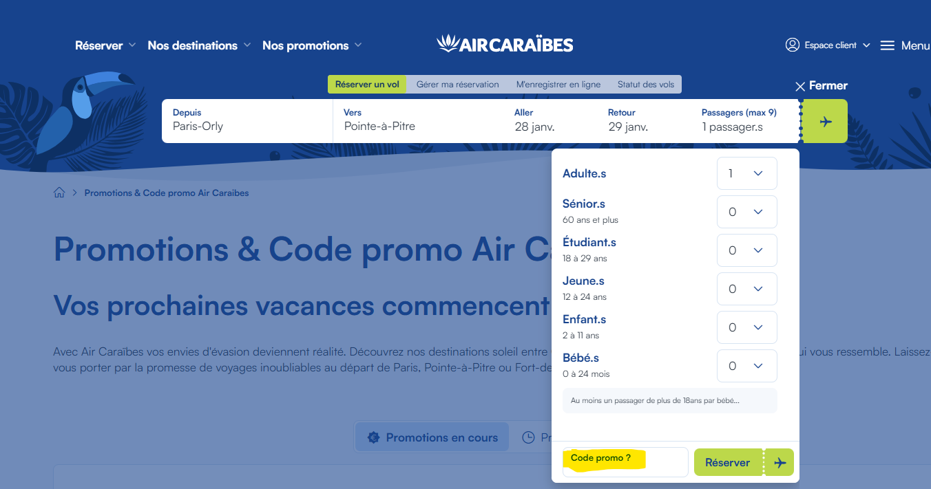 Capture du module de recherche de vols sur Air Caraïbes