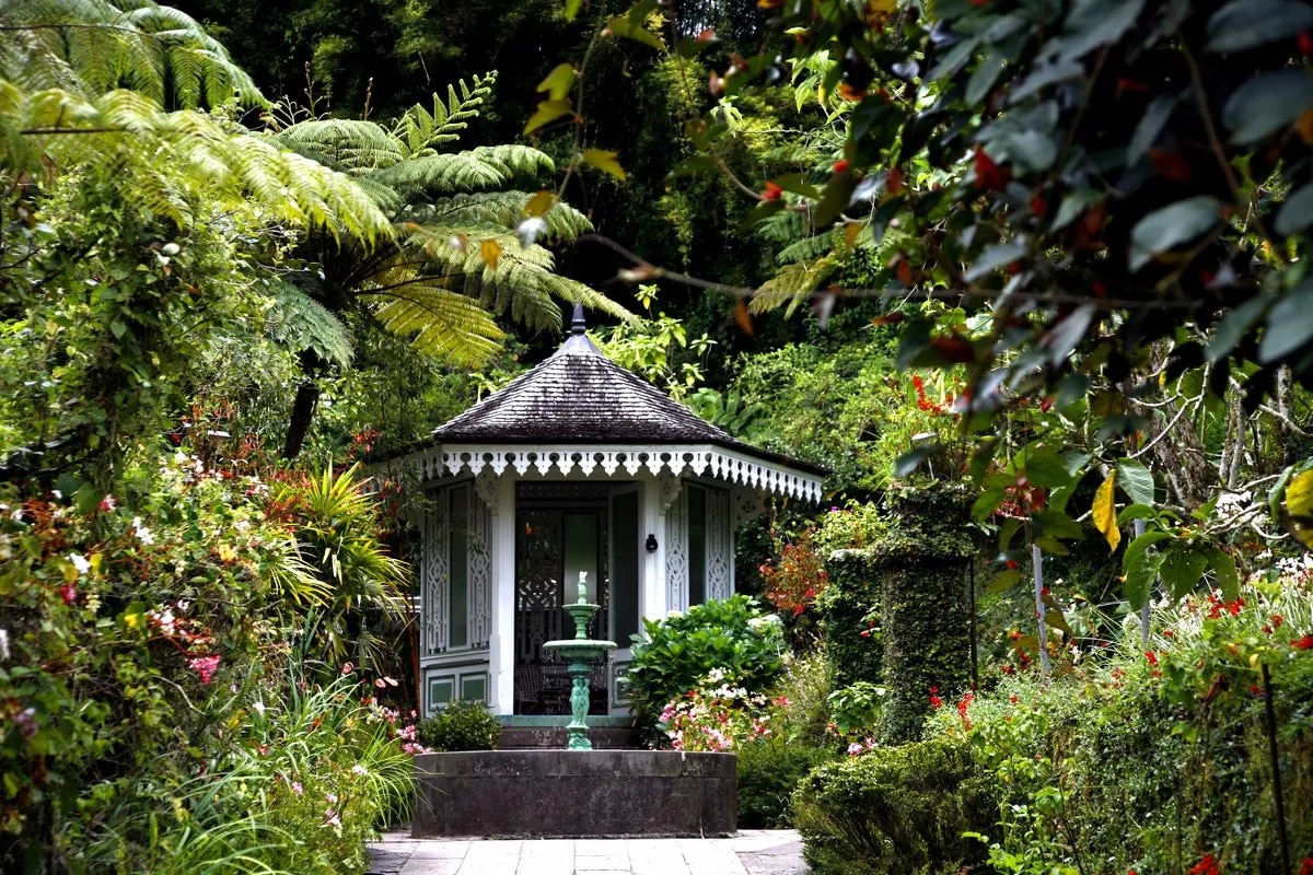 Photo de Hell Bourg à la Réunion