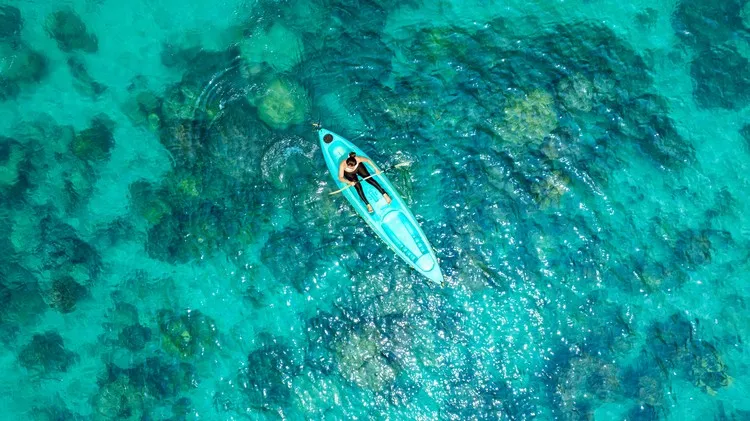 Kayak Kayak