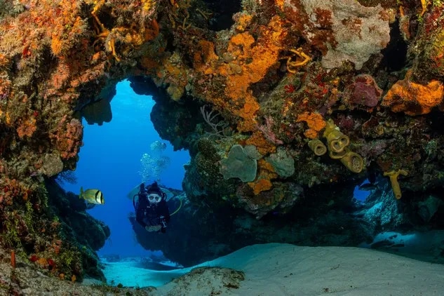 Femme plongeant dans le récif Cozumel