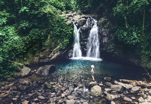 Découvrez la Martinique Découvrez la Martinique