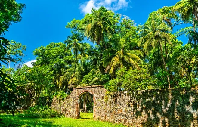 ruines île saint joseph