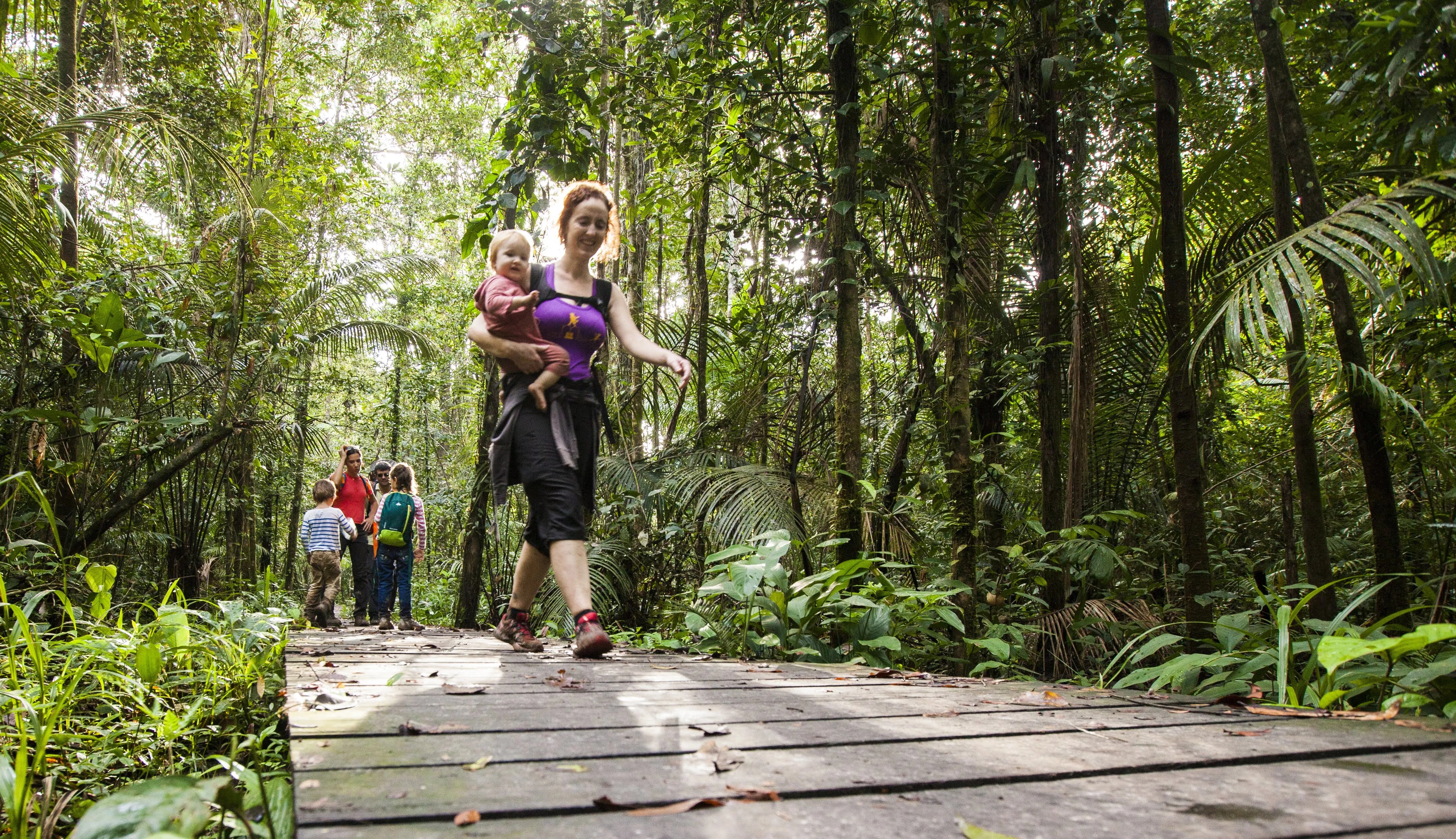 Randonnée en famille à travers une forêt luxuriante sur un sentier aménagé en bois, immersion dans la nature tropicale.