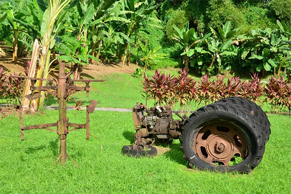 Vestiges d'anciens outils agricoles et d'un tracteur rouillé exposés en plein air au Musée de la Banane ou à la Mai