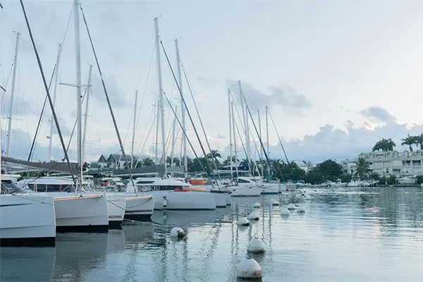 Alignement de catamarans et de voiliers modernes à la marina du Gosier en Guadeloupe, illustrant la diversité des navires dis