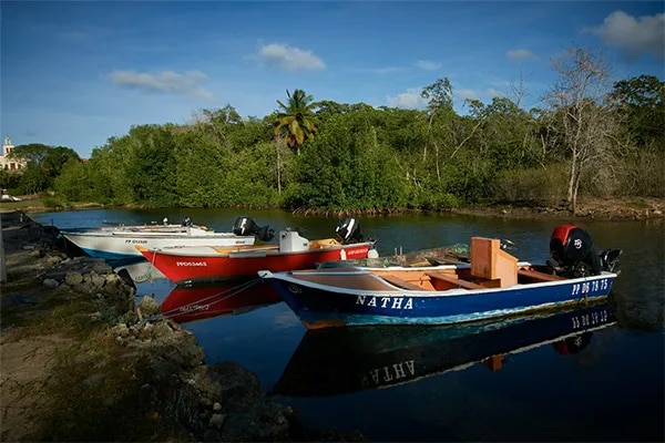 Alignement de bateaux à moteur traditionnels et colorés, dont une barque bleue, amarrés dans les eaux calmes d une crique bor